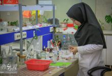 گزارش تصویری |  بازدید  دانش آموزان از آزمایشگاه های دانشگاه صنعتی شاهرود